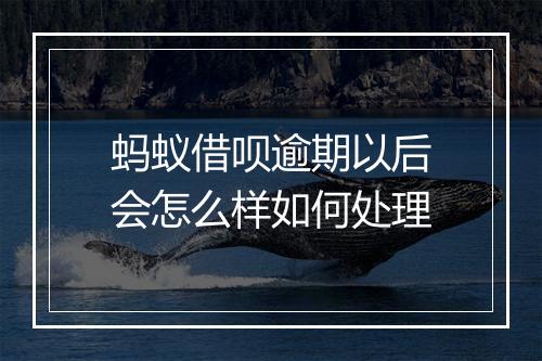 蚂蚁借呗逾期以后会怎么样如何处理