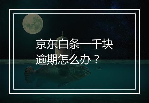 京东白条一千块逾期怎么办？