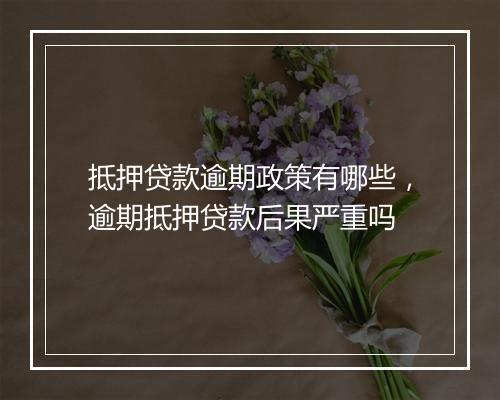 抵押贷款逾期政策有哪些，逾期抵押贷款后果严重吗