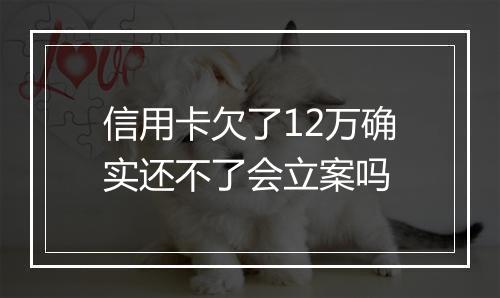 信用卡欠了12万确实还不了会立案吗