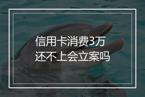 信用卡消费3万还不上会立案吗