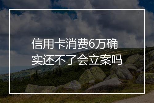 信用卡消费6万确实还不了会立案吗