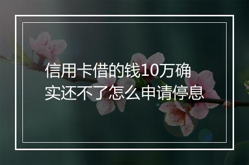 信用卡借的钱10万确实还不了怎么申请停息