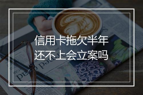 信用卡拖欠半年还不上会立案吗