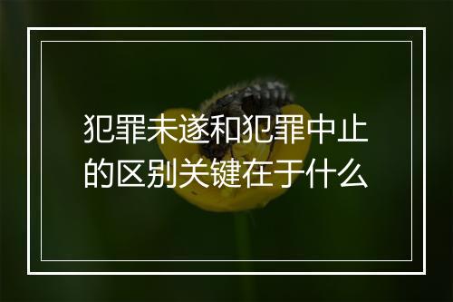 犯罪未遂和犯罪中止的区别关键在于什么