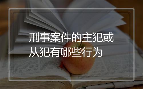 刑事案件的主犯或从犯有哪些行为
