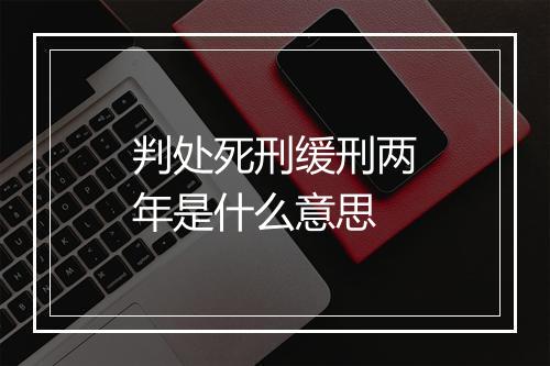 判处死刑缓刑两年是什么意思