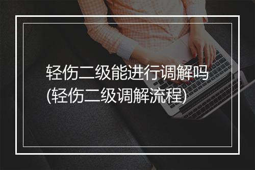 轻伤二级能进行调解吗(轻伤二级调解流程)