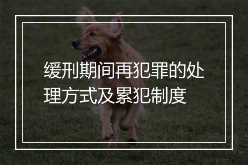 缓刑期间再犯罪的处理方式及累犯制度