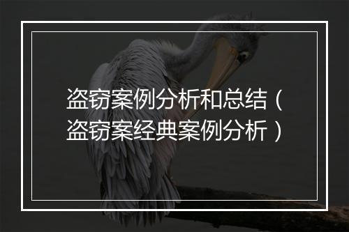 盗窃案例分析和总结（盗窃案经典案例分析）