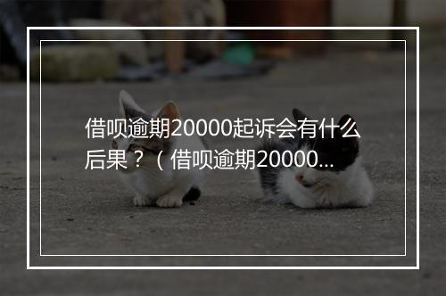 借呗逾期20000起诉会有什么后果？（借呗逾期20000起诉案例分析）