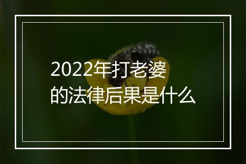 2022年打老婆的法律后果是什么