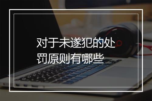 对于未遂犯的处罚原则有哪些