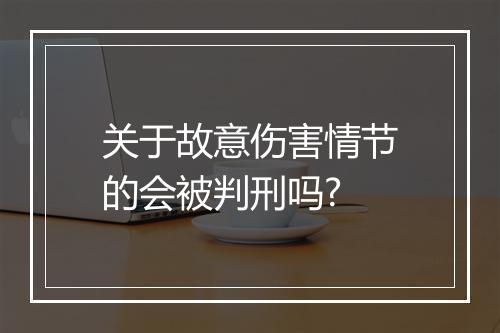 关于故意伤害情节的会被判刑吗?