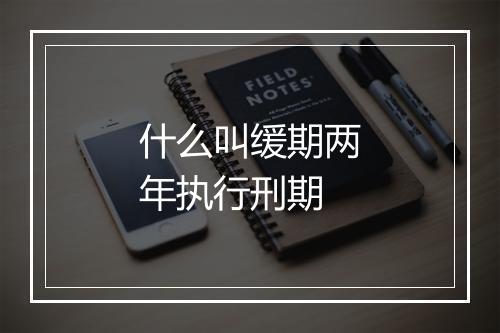 什么叫缓期两年执行刑期