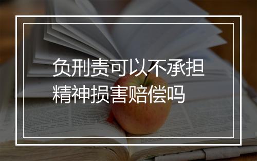 负刑责可以不承担精神损害赔偿吗