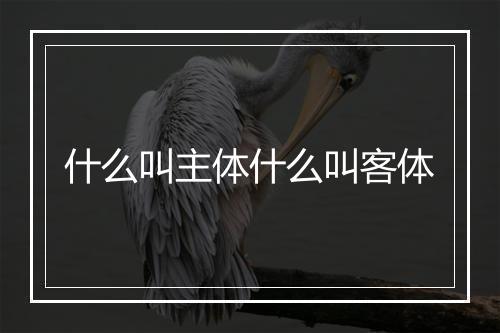 什么叫主体什么叫客体