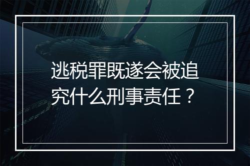逃税罪既遂会被追究什么刑事责任？