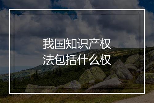 我国知识产权法包括什么权
