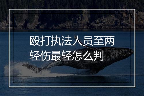 殴打执法人员至两轻伤最轻怎么判