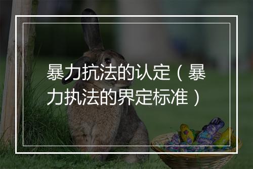 暴力抗法的认定（暴力执法的界定标准）