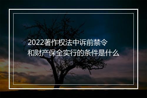 2022著作权法中诉前禁令和财产保全实行的条件是什么