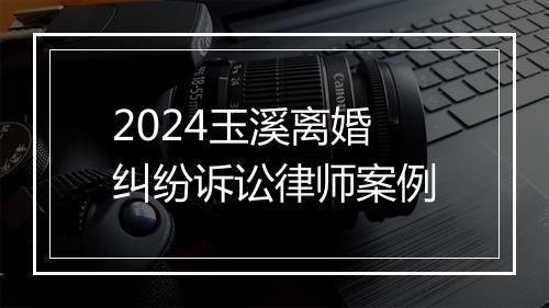 2024玉溪离婚纠纷诉讼律师案例