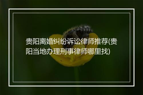 贵阳离婚纠纷诉讼律师推荐(贵阳当地办理刑事律师哪里找)