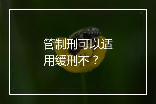管制刑可以适用缓刑不？