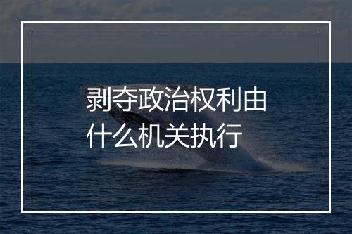 剥夺政治权利由什么机关执行