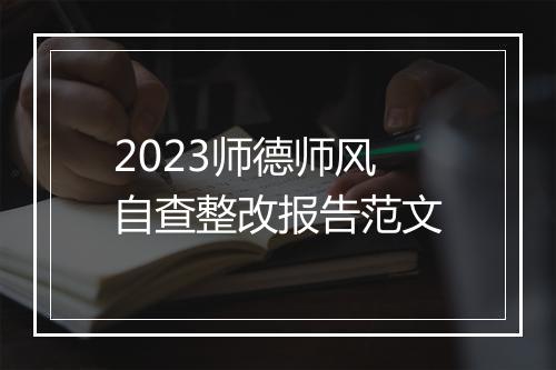 2023师德师风自查整改报告范文