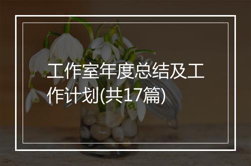 工作室年度总结及工作计划(共17篇)