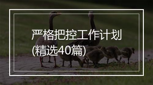 严格把控工作计划(精选40篇)