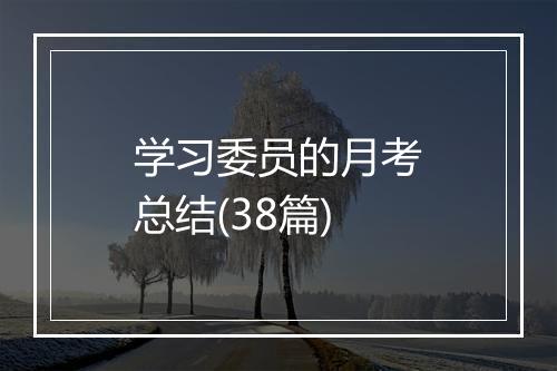 学习委员的月考总结(38篇)