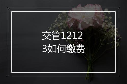 交管12123如何缴费
