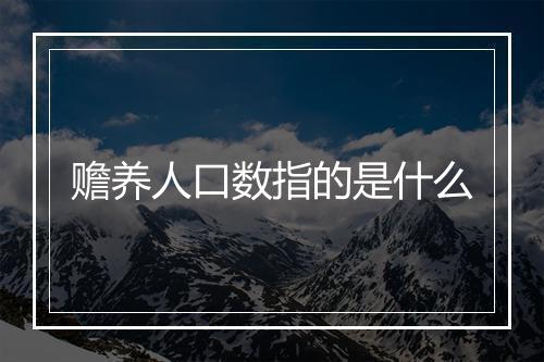 赡养人口数指的是什么