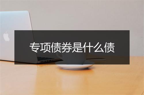专项债券是什么债