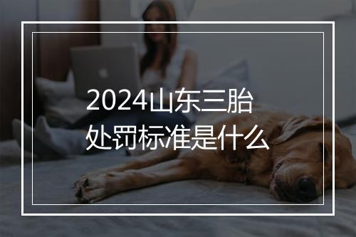 2024山东三胎处罚标准是什么