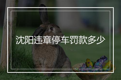 沈阳违章停车罚款多少