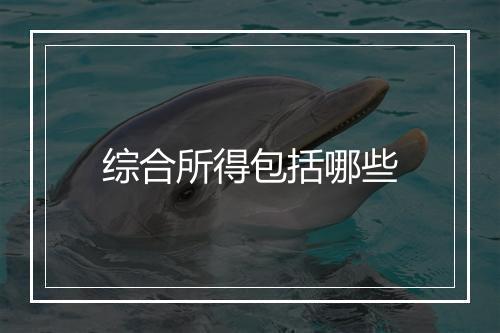 综合所得包括哪些
