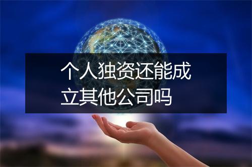 个人独资还能成立其他公司吗