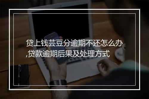 贷上钱芸豆分逾期不还怎么办,贷款逾期后果及处理方式