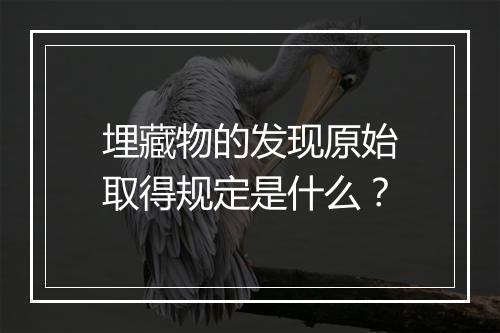 埋藏物的发现原始取得规定是什么？