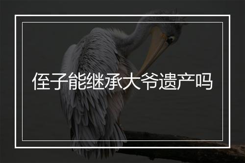 侄子能继承大爷遗产吗