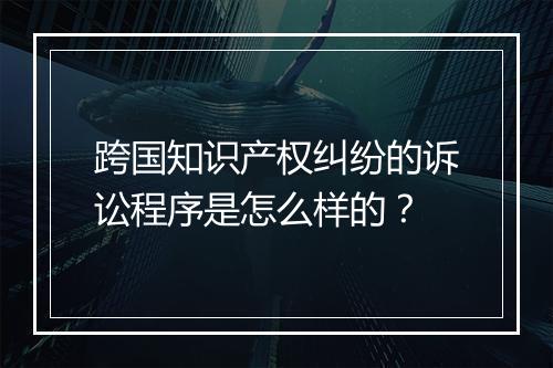 跨国知识产权纠纷的诉讼程序是怎么样的？