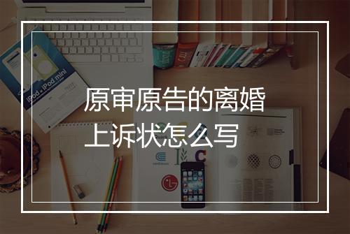 原审原告的离婚上诉状怎么写