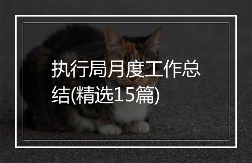 执行局月度工作总结(精选15篇)