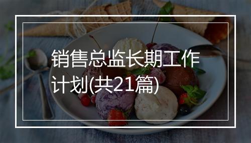 销售总监长期工作计划(共21篇)