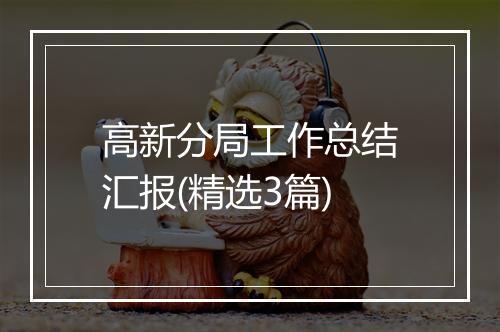 高新分局工作总结汇报(精选3篇)