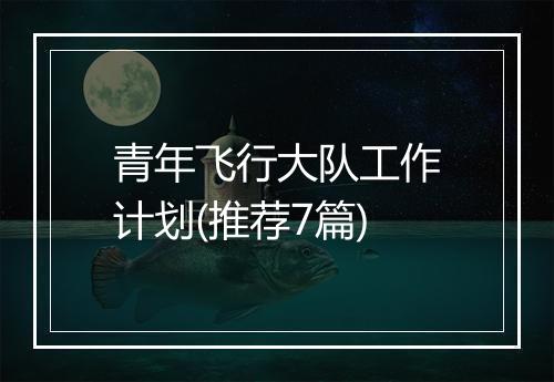 青年飞行大队工作计划(推荐7篇)